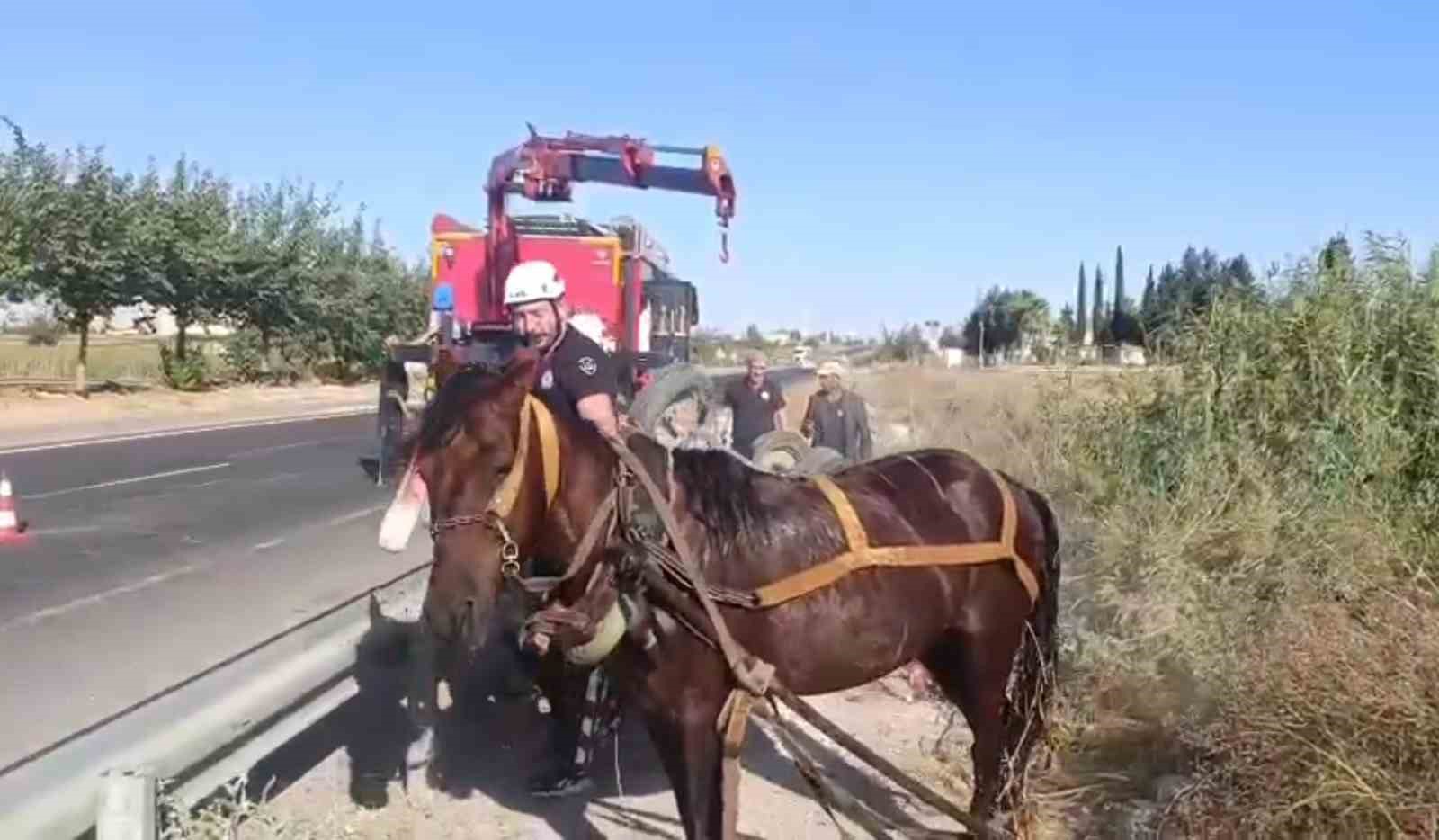 Tahliye kanalına d&uuml;şen at kurtarıldı
