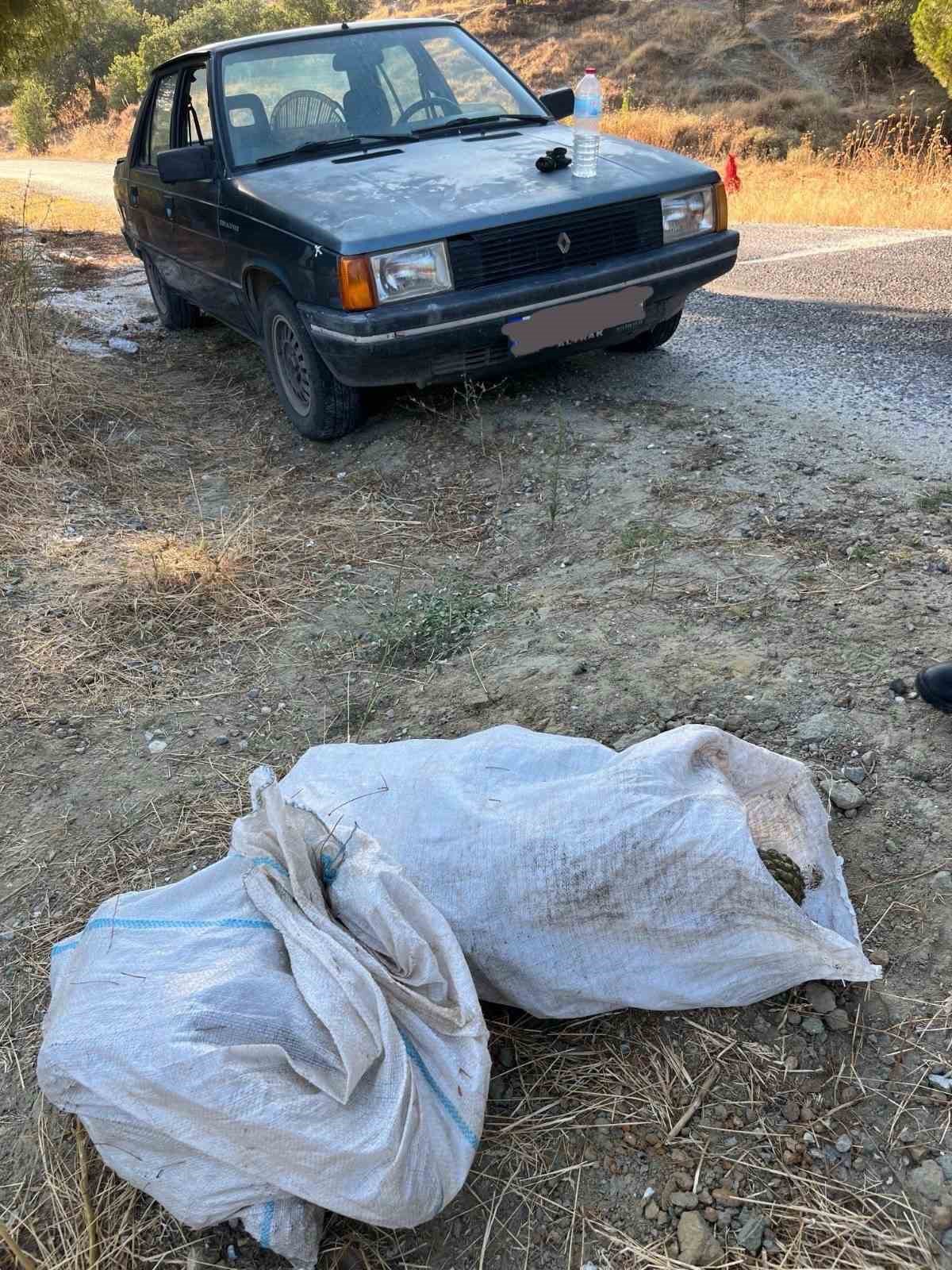 Çam fıstığı hırsızları jandarmaya yakalandı