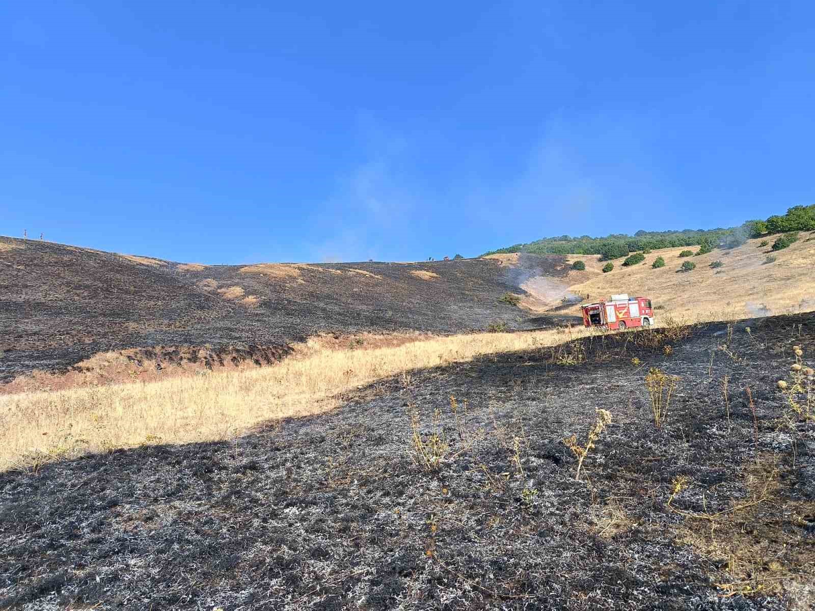 Aşkale Güneyçam Köyü’nde anız yangını: 100 dönüm alan kül oldu