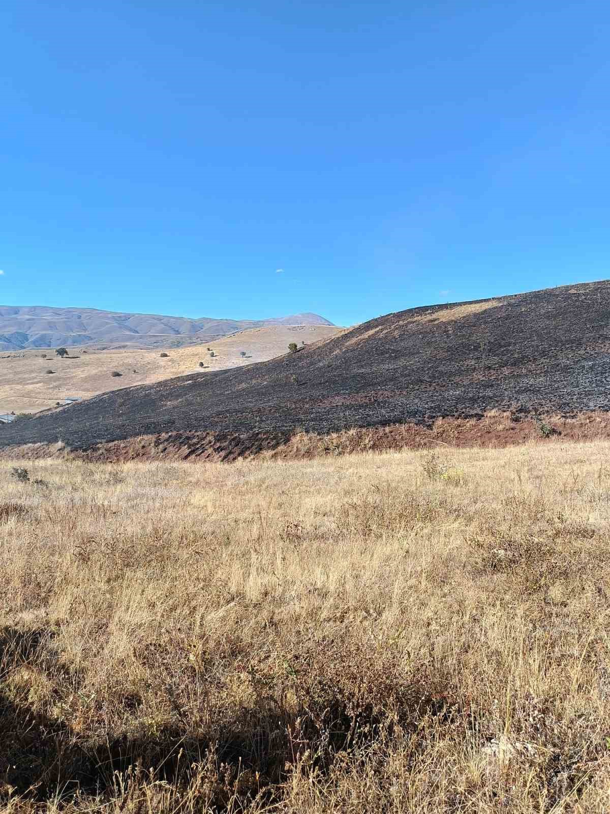 Aşkale Güneyçam Köyü’nde anız yangını: 100 dönüm alan kül oldu