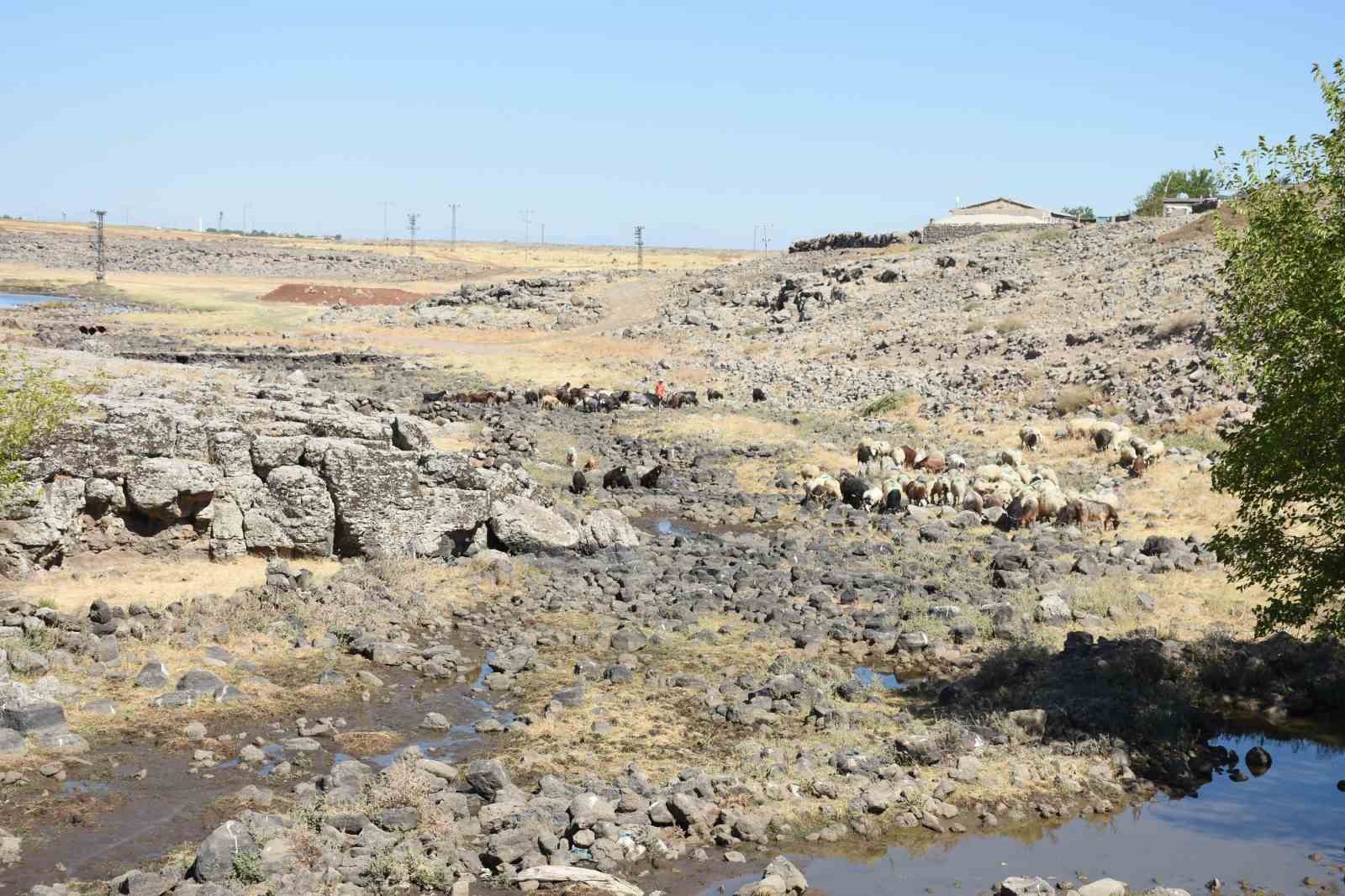 Diyarbakır&rsquo;da 6 bin hayvanın faydalanacağı su kaynağı g&ouml;letler onarıldı

