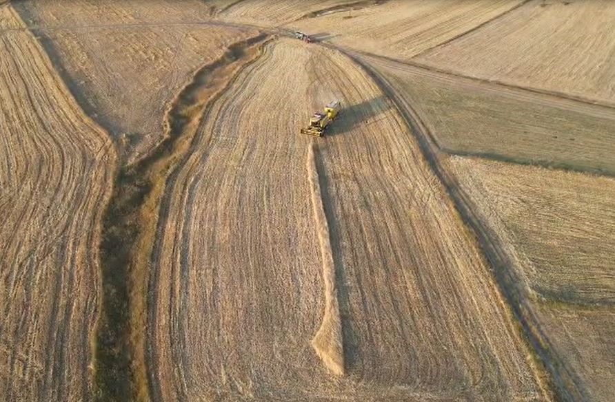 Ardahan&rsquo;da arpa ve buğday hasadı s&uuml;r&uuml;yor
