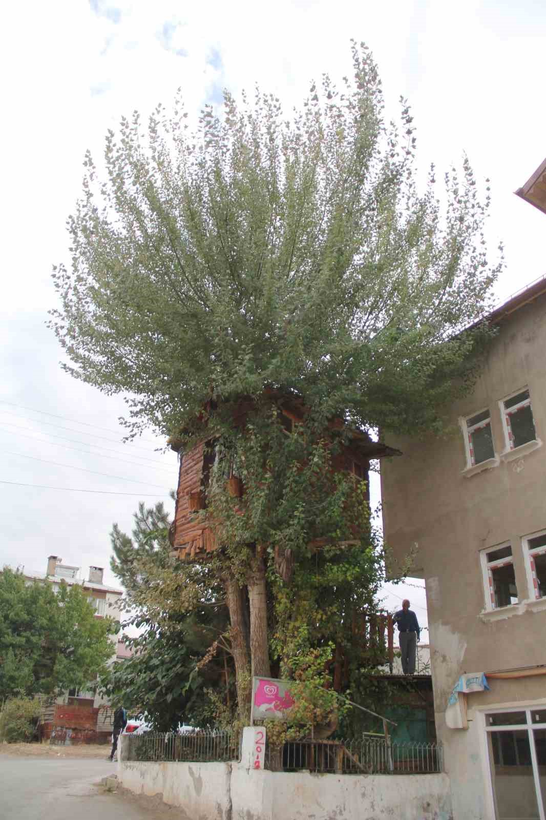 Hikâyesiyle yürek burkan ağaç ev yeniden inşa ediliyor
