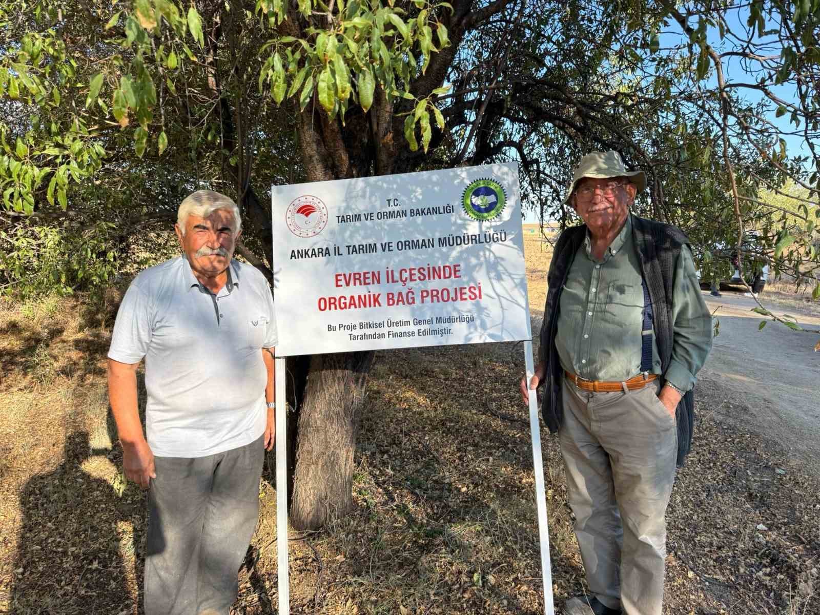 Ata tohumundan elde edilen üzümleri lezzetiyle dikkat çekiyor