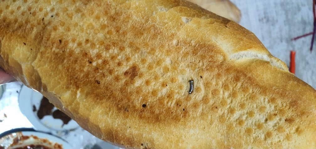 Siirt’te ekmekten çivi çıktı 