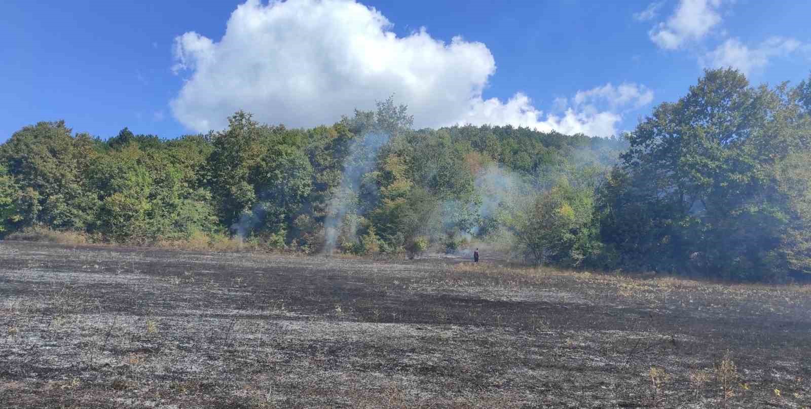 Kırklareli’nde örtü yangını: 25 dekar alan zarar gördü