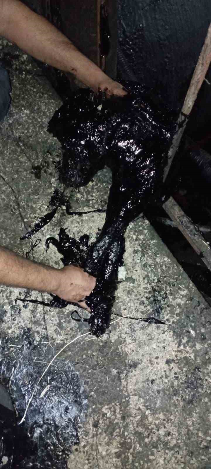 Zift kazanına d&uuml;şen k&ouml;pek yarım saatlik m&uuml;dahale sonrası kurtarıldı
