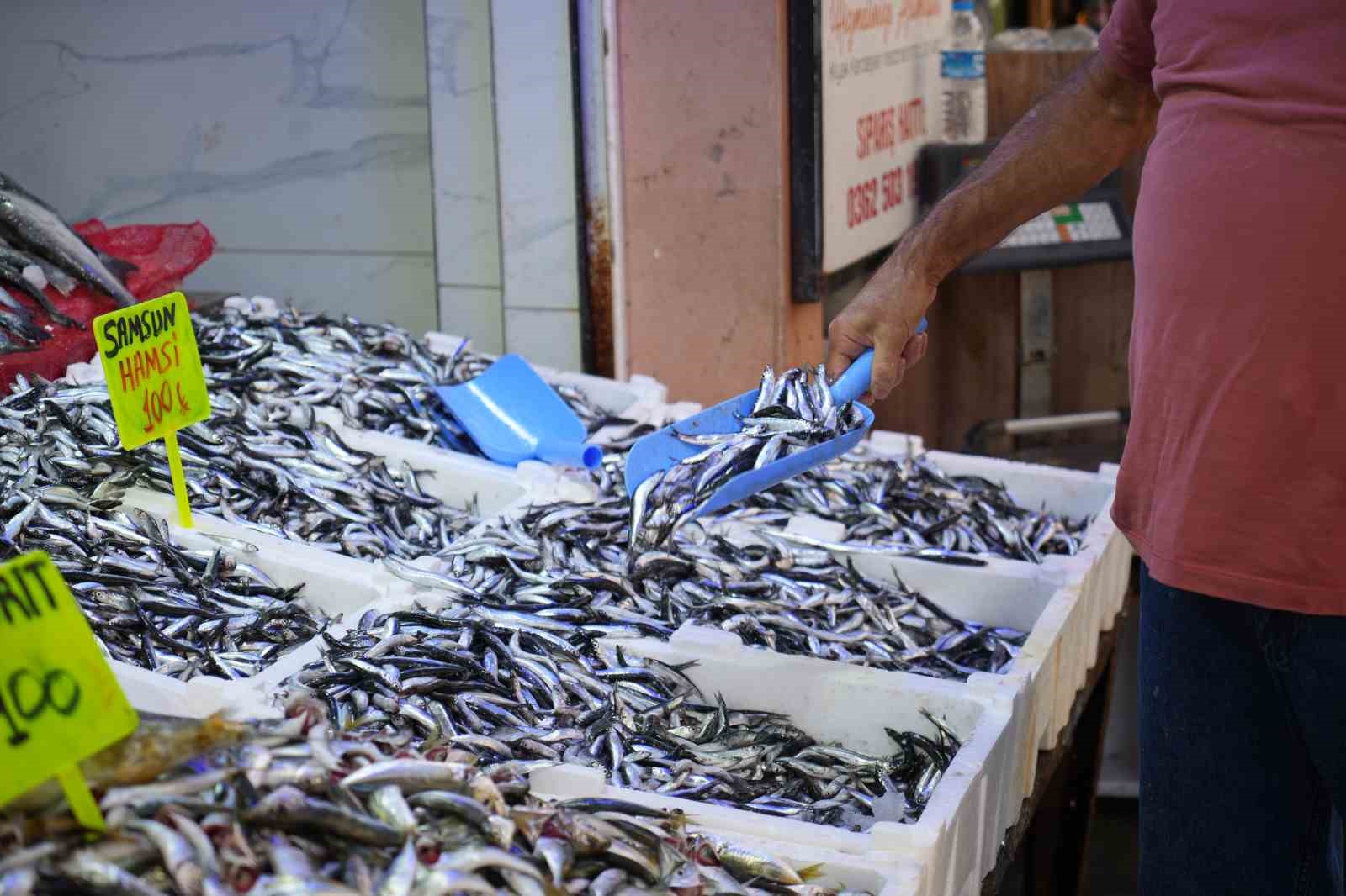 Karadeniz’in incisi hamsi tezgahlarda: Ne alırsan 100 TL