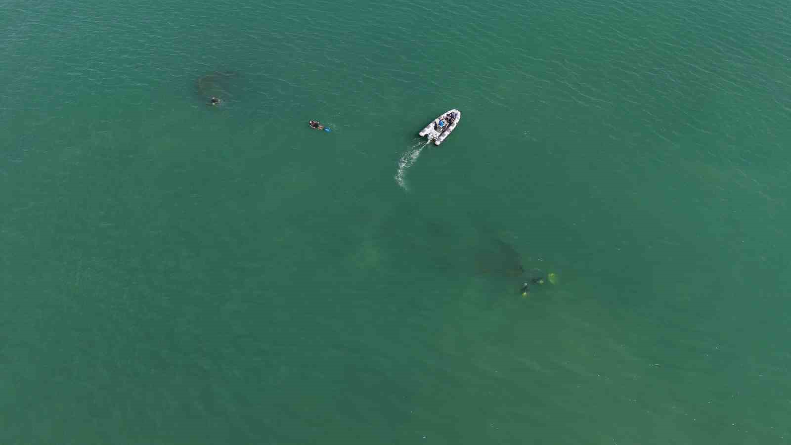 92 yıl önce Ordu’da batmıştı: Rus şilebi dron ile görüntülendi, dalgıçlar gemiyi ilk kez keşfetti