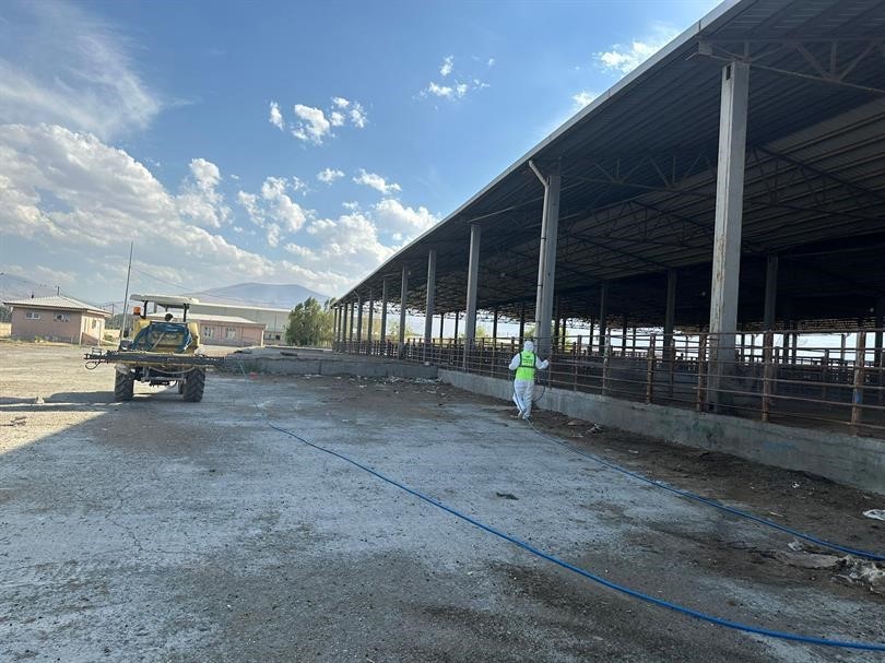 Hayvan pazarında dezenfeksiyon çalışması yapıldı