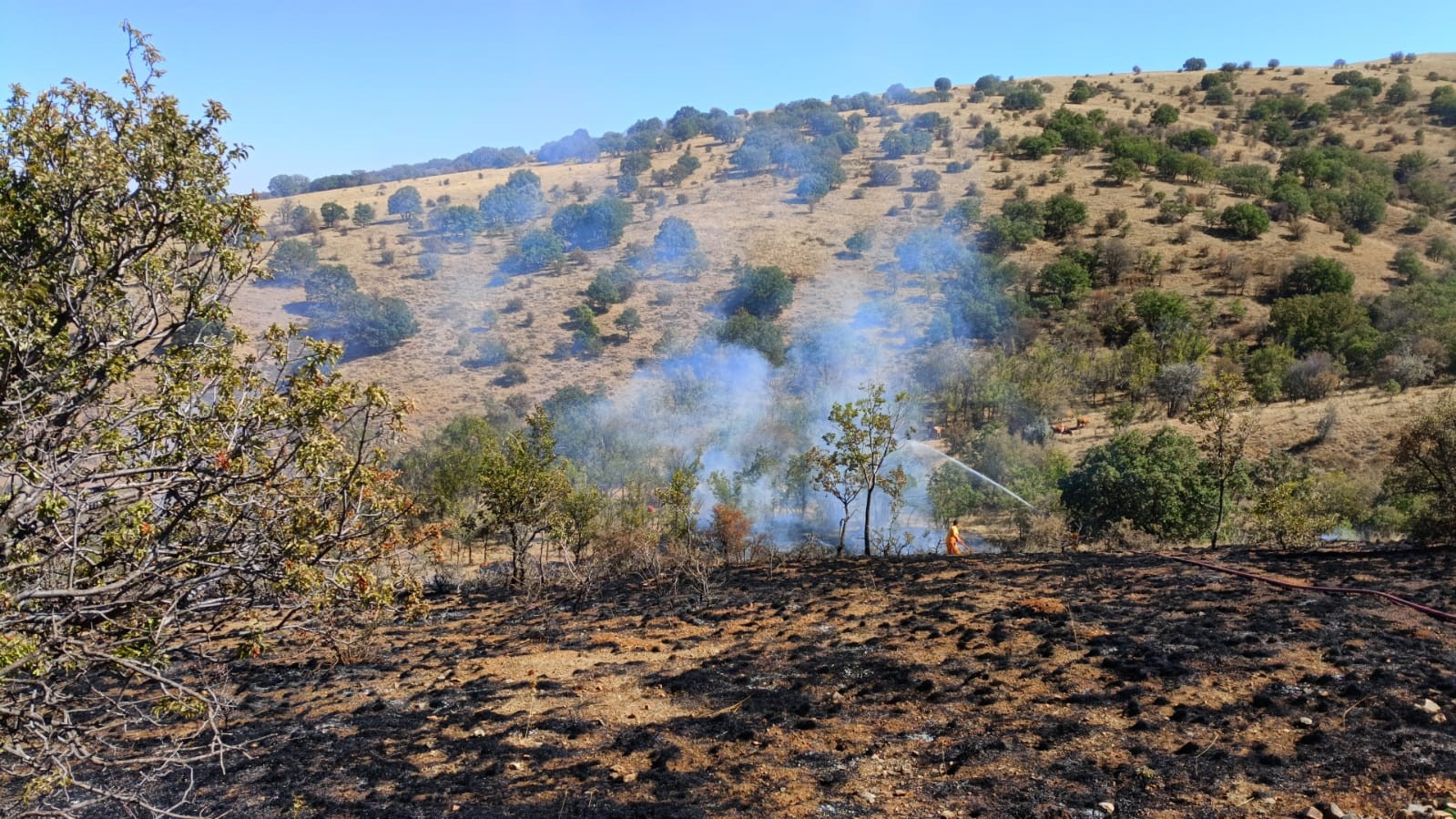 Yozgat’ta makilik alanda çıkan yangın 15 dönüm alanda etkili oldu