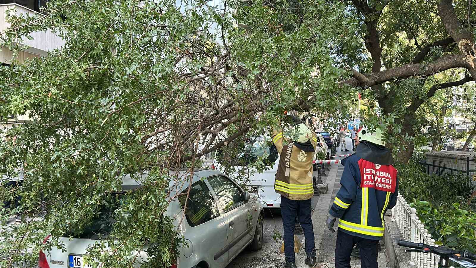 Kadıköy’de ağaç dalı iki otomobilin üzerine devrildi