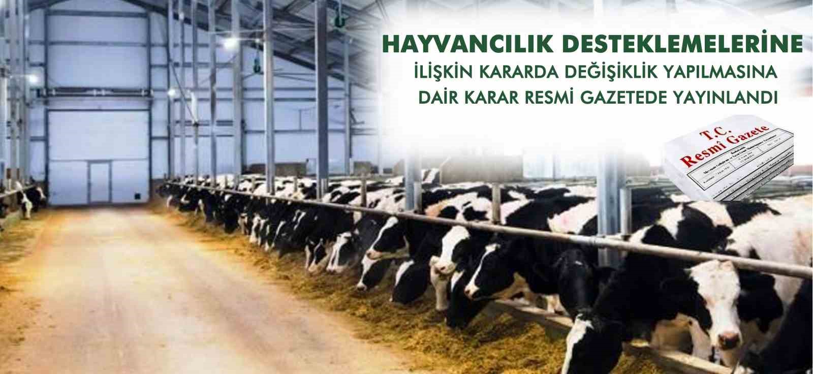 Hayvancılık ve bitkisel &uuml;retim desteklemelerinde artışa gidildi

