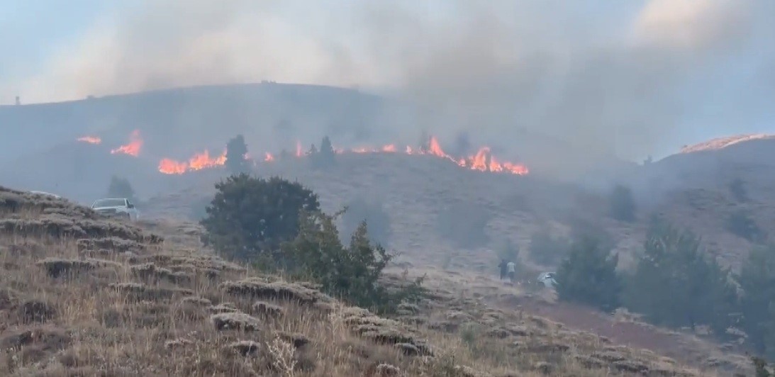 Erzincan&rsquo;da &ouml;rt&uuml; yangını ormana sirayet etmeden kontrol altına alındı
