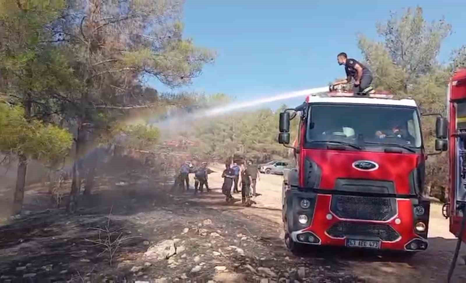 Şanlıurfa’da orman yangını