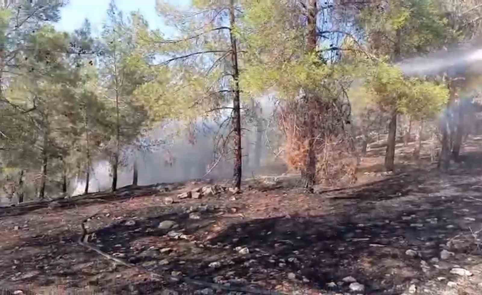 Şanlıurfa&rsquo;da orman yangını
