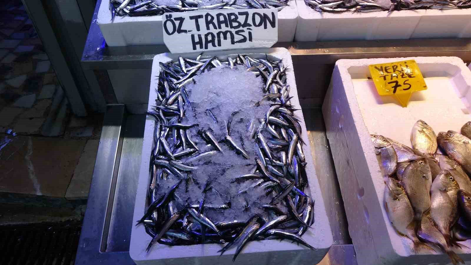 Balıkçılarda erken gelen hamsinin Türk karasularını erken terk edeceği endişesi