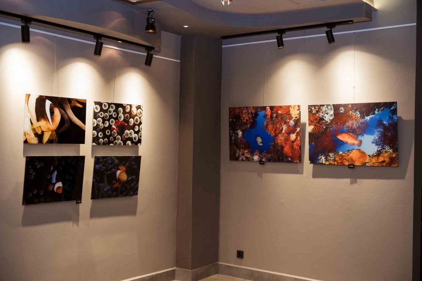 Deep Tales, Hapimag&rsquo;da sanatseverlerle buluşuyor
