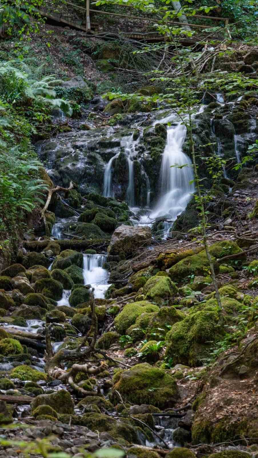 Yedigöller’de sonbahar cümbüşü
