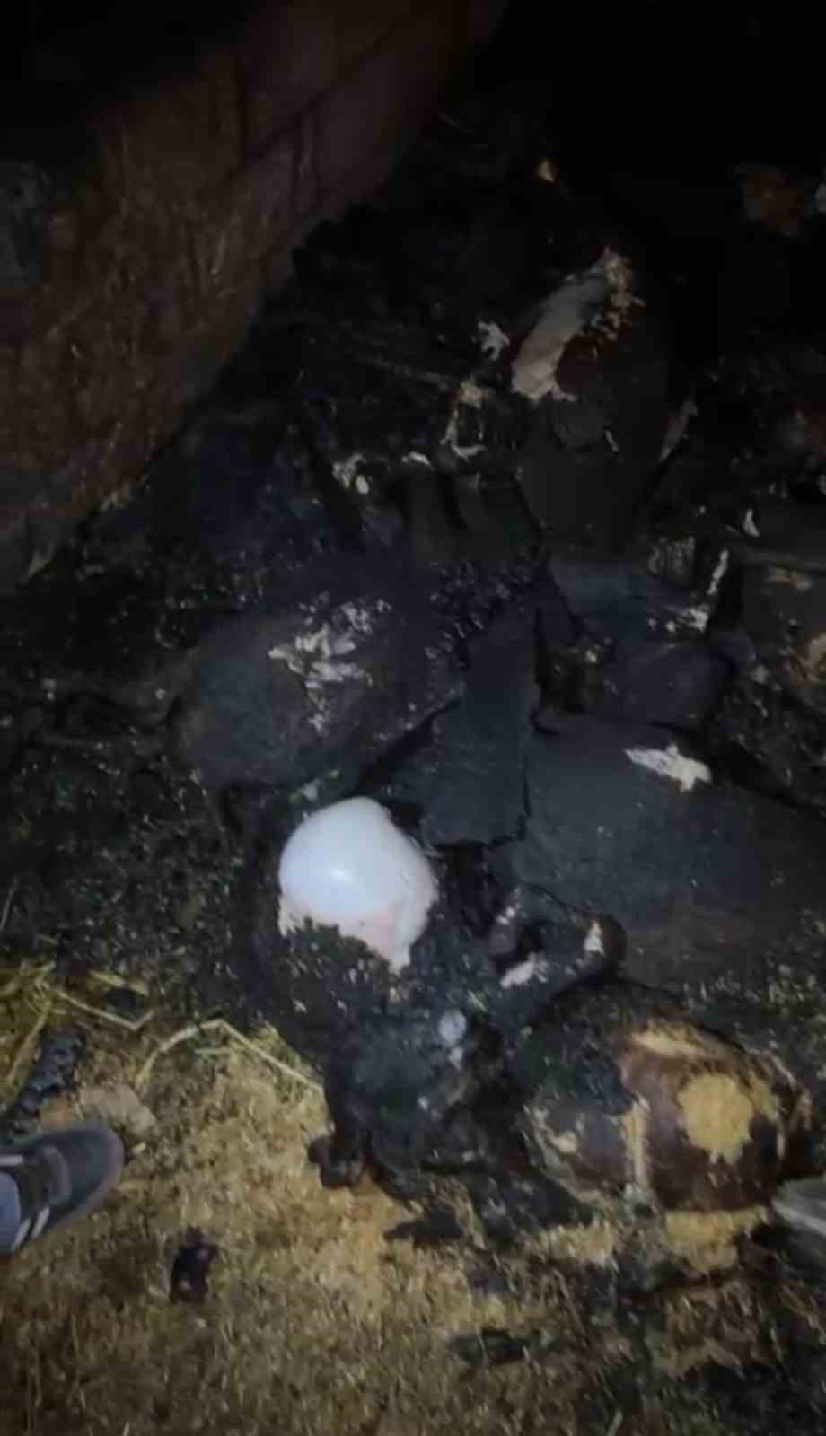 Ahır yandı, 7 hayvan telef oldu
