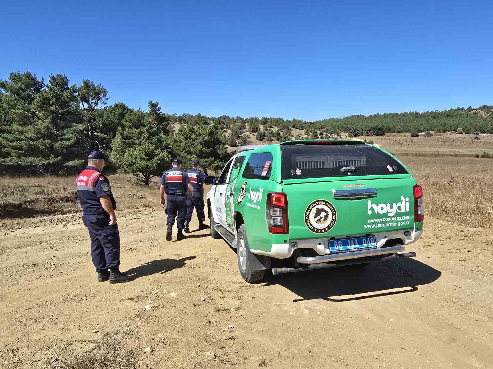 Cezası 557 bin TL, Jandarma ekipleri salep i&ccedil;in sahada
