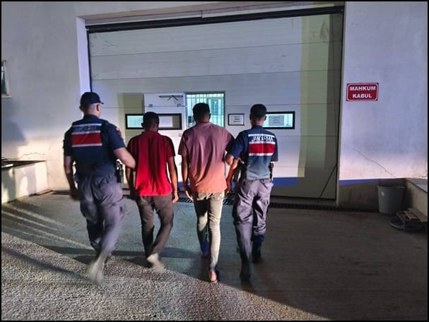 Tarım arazinden 600 bin TL değerinde kablo &ccedil;alan 2 şahıs tutuklandı
