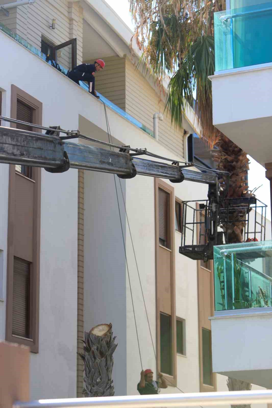 Ağaç budanması için kiralanan vinç yan yattı