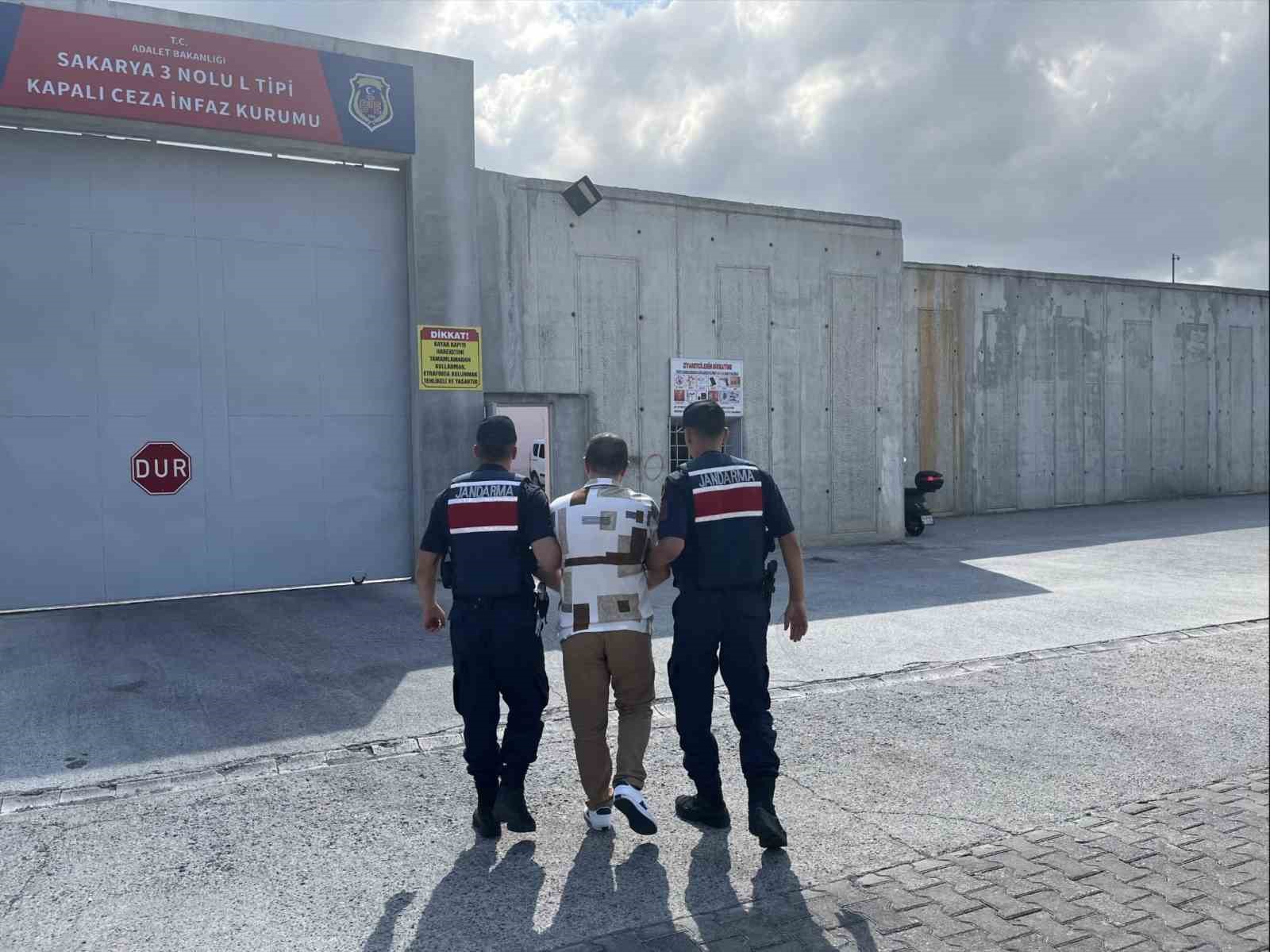 Mısır tarlasına ekilen uyuşturucuyu jandarma ele geçirdi: 1 tutuklama
