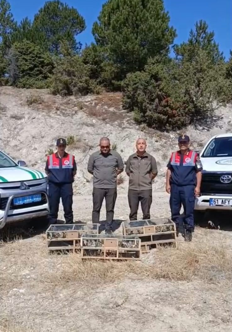 Kütahya’da yakalanan 142 saka kuşu doğaya salındı
