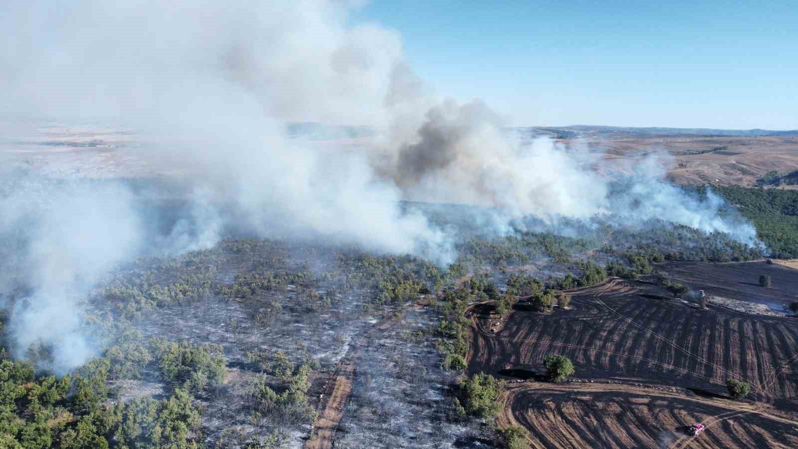 Çorum’daki yangında 70 bin dönümden fazla alan zarar gördü