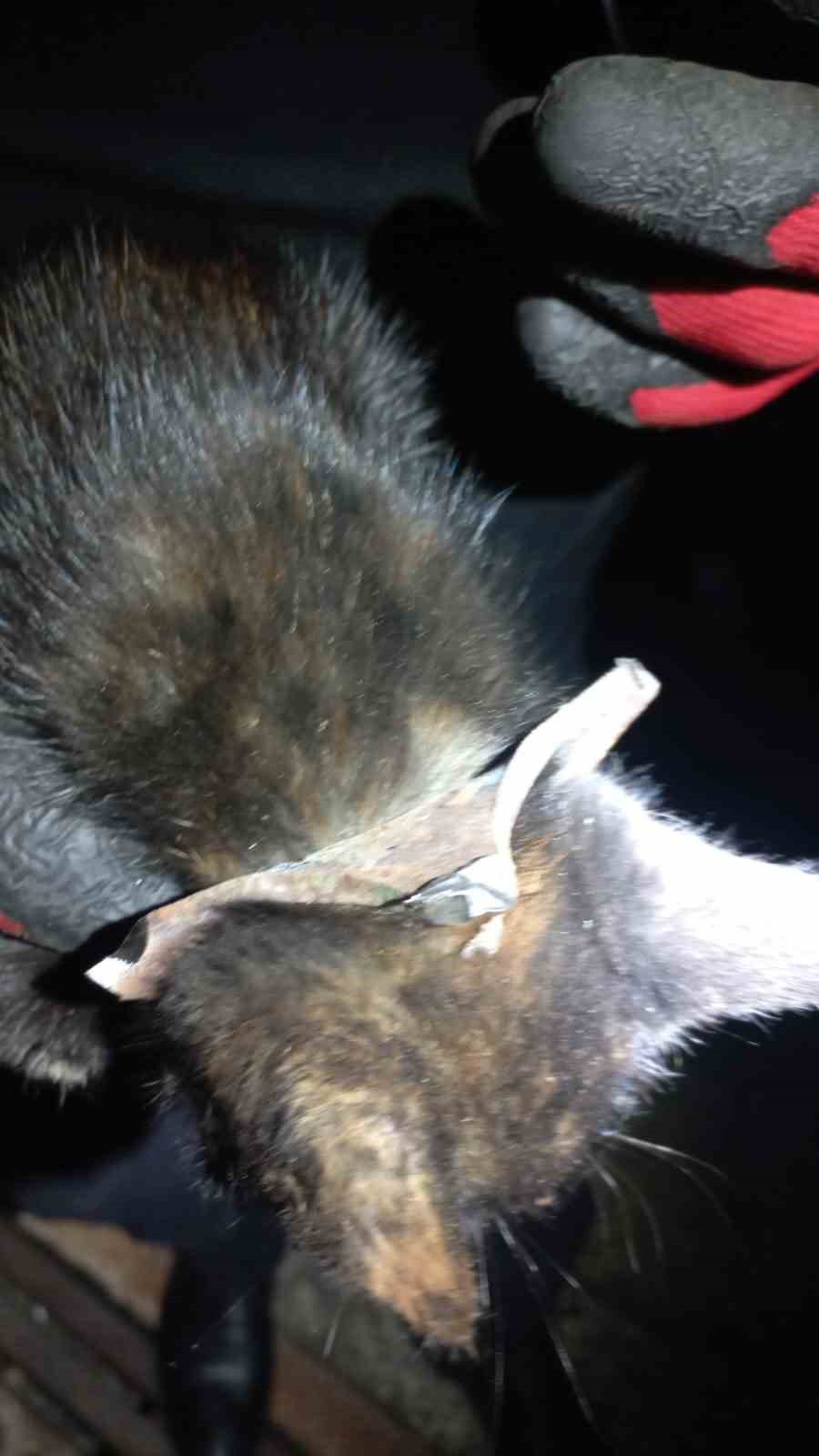 Zonguldak’ta yürekleri ısıtan kurtarma