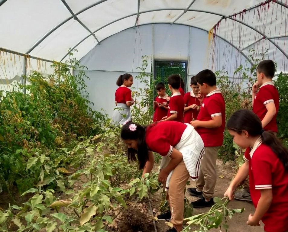 Erzincan’da öğrenciler serada kış sebzelerinin ekimine başladı