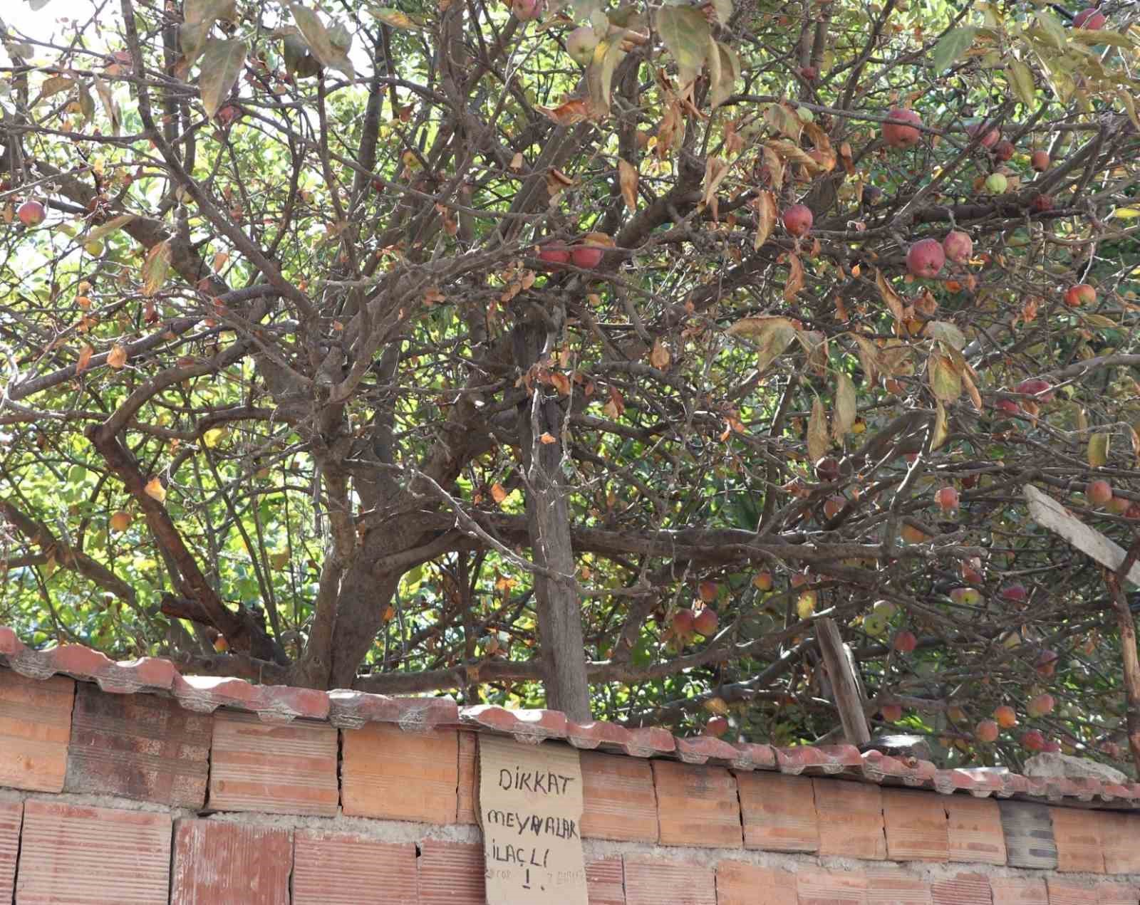 Eskişehir’de şaşırtan uyarı