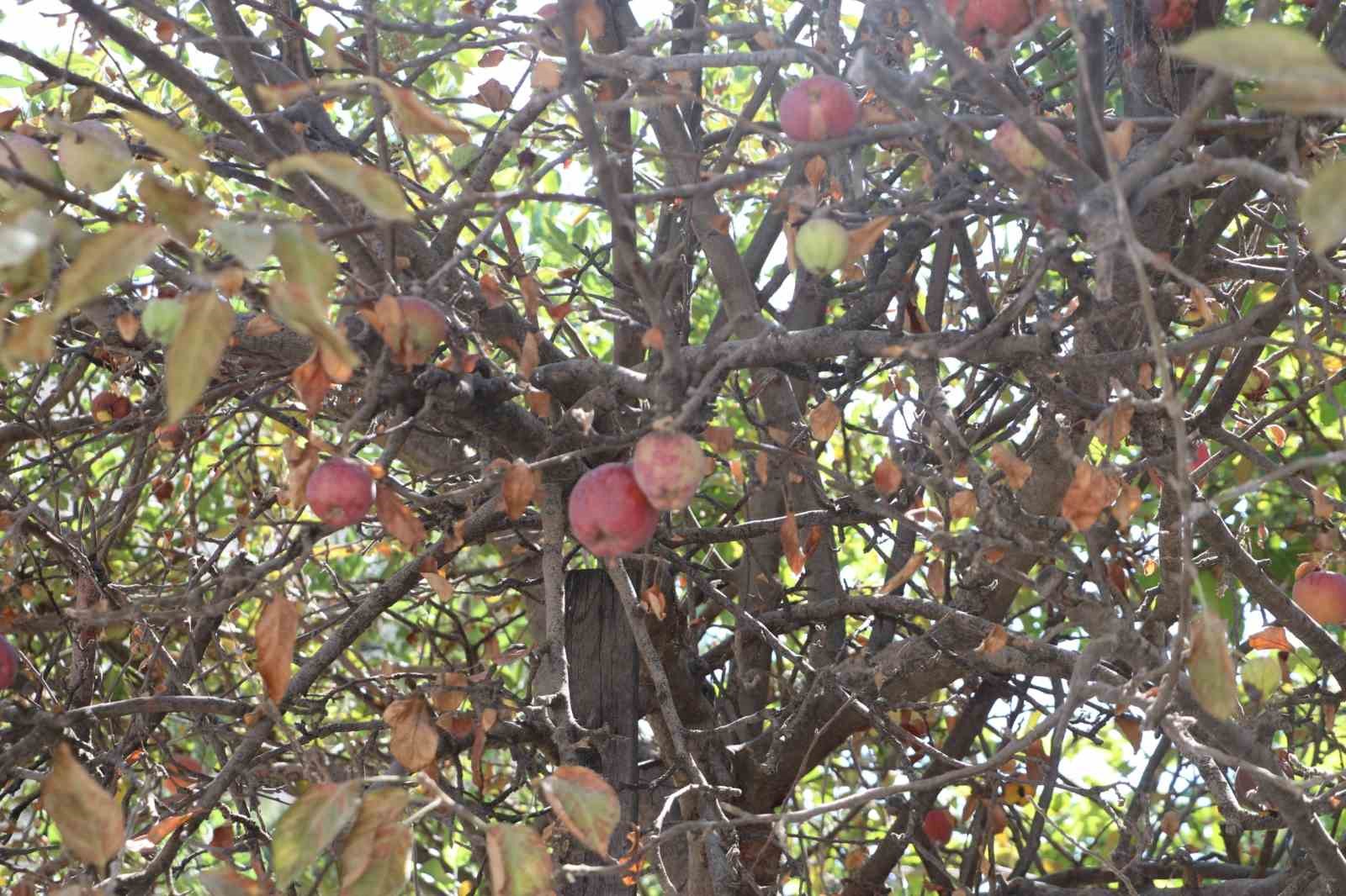 Eskişehir&rsquo;de şaşırtan uyarı
