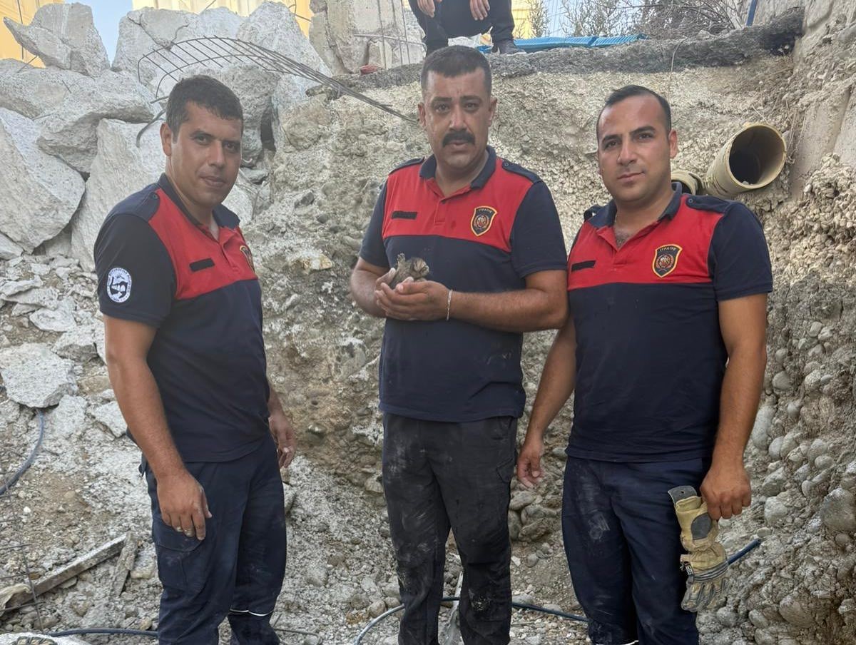 Beton zemin mahsur kalan yavru kedi için kırıldı