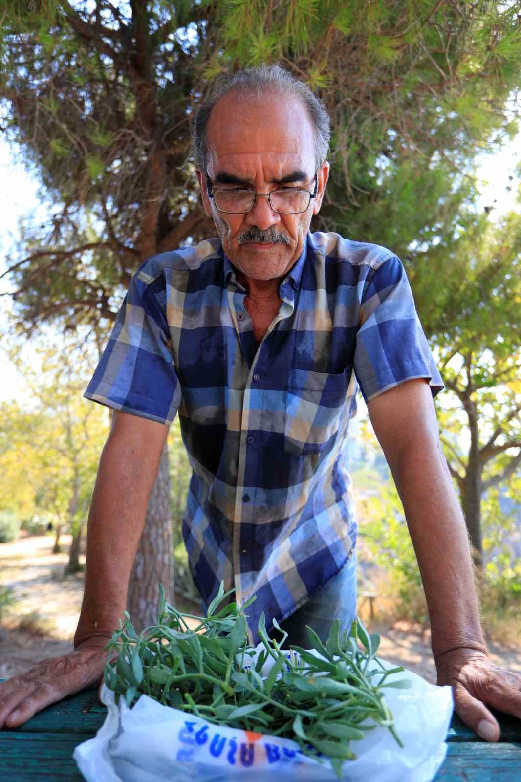 Denize sıfır sarp kayalıklarda ot topluyor, gören itfaiyeyi arıyor