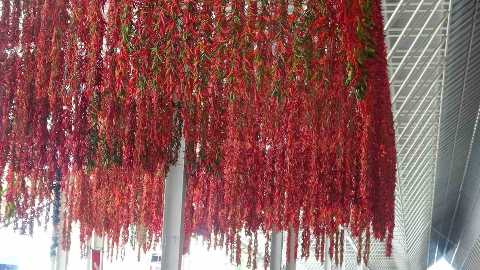 Muğla&rsquo;da kurutmalıklar yurt dışına a&ccedil;ıldı
