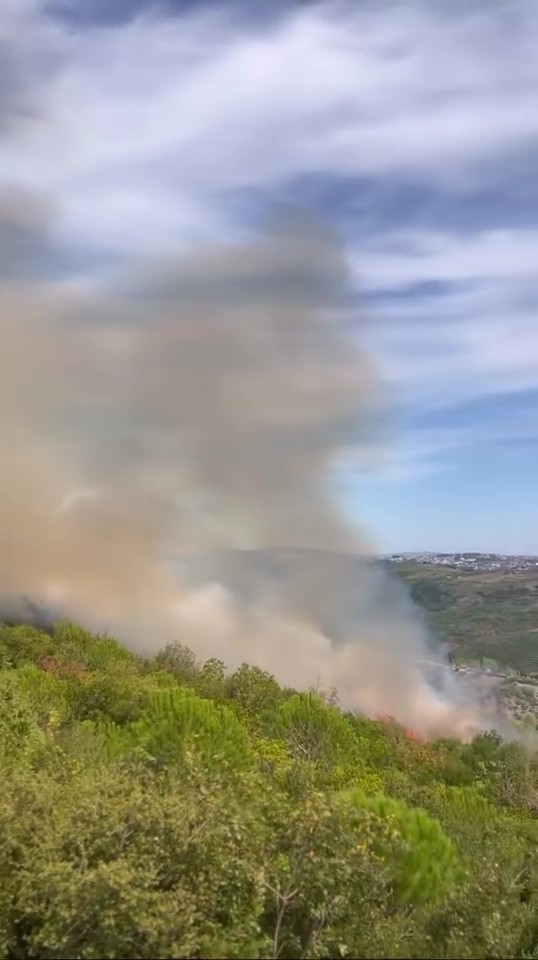 Kocaeli&rsquo;de ormanlık alanda yangın &ccedil;ıktı
