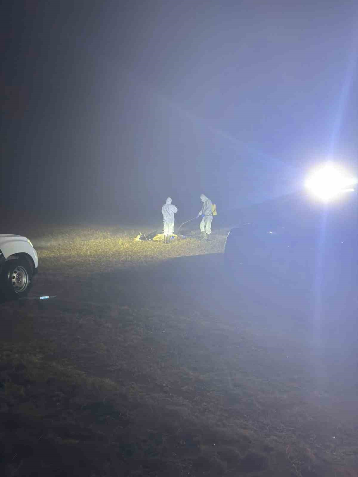 Gümüşhane’de şap hastalığı nedeniyle 5 köy karantinaya alındı