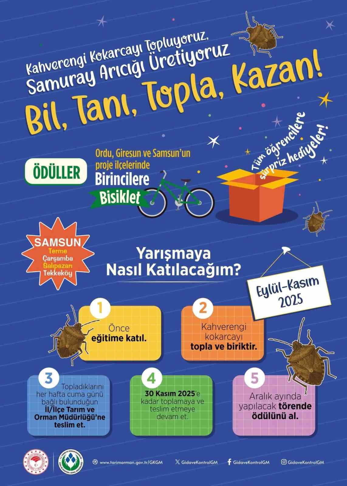 Samsun’da öğrenciler kokarca toplama yarışında