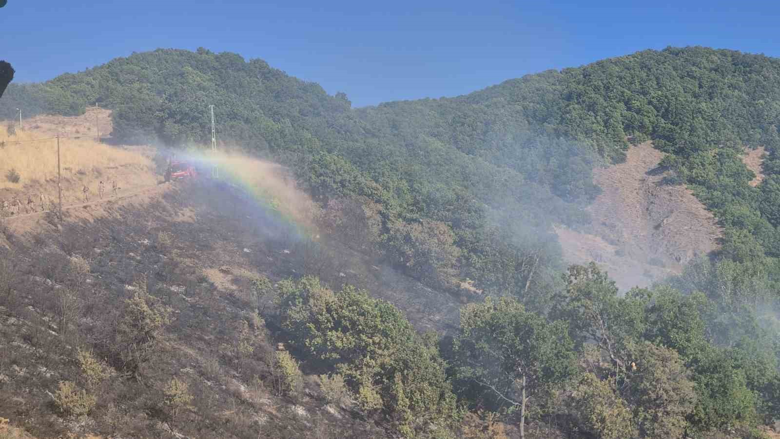 Tunceli’de kırsal alanda yangın: Havadan ve karadan müdahale sürüyor