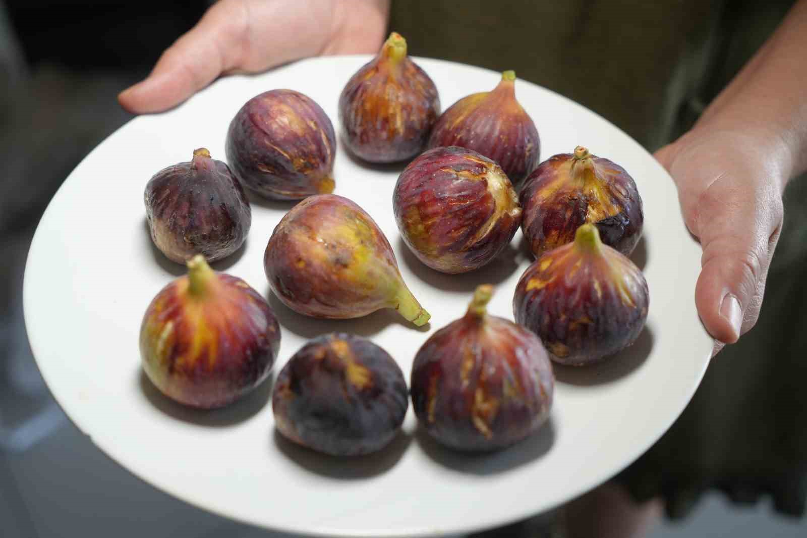 Daha sağlıklı yaşamak için inciri kabuğu ile yiyin