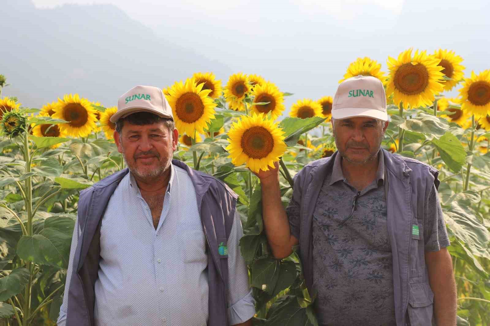 Sunar Yatırım, FSA onayıyla tarımsal geleceğe katkısını pekiştirdi
