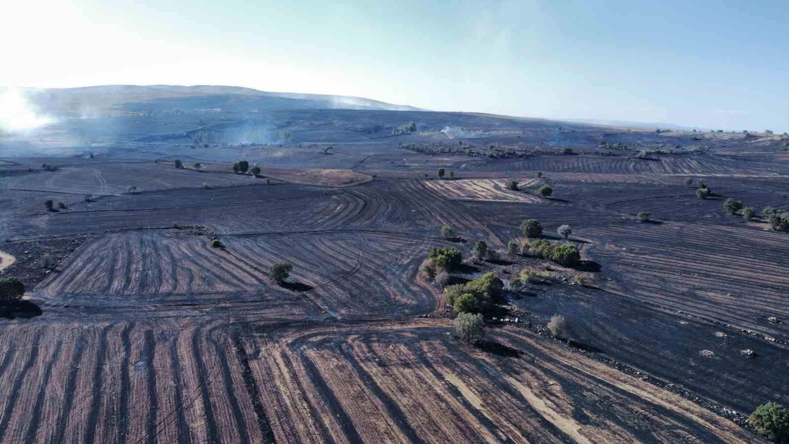 Uzmanı uyardı: "Orman yangınlarına karşı topraktaki nem kapasitesini arttırmalıyız"