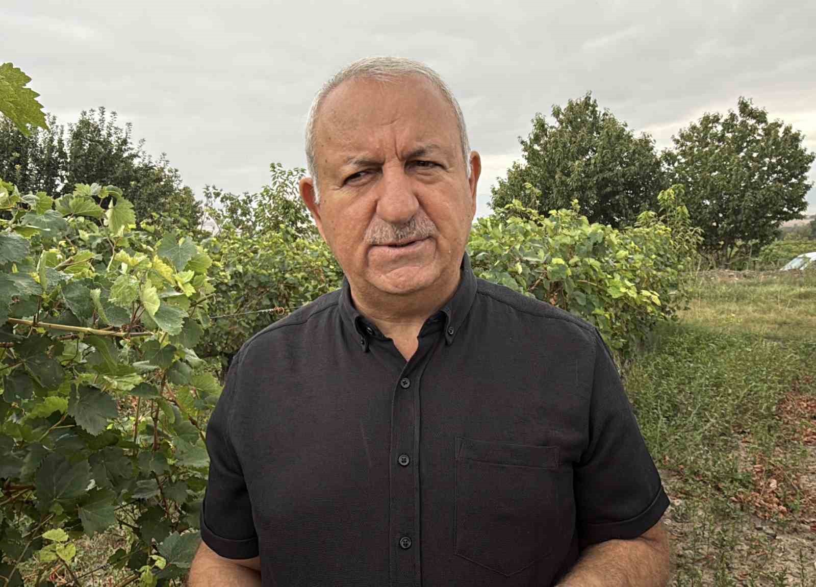 Narince üzümünü de don vurdu, rekolte yüzde 80 düştü