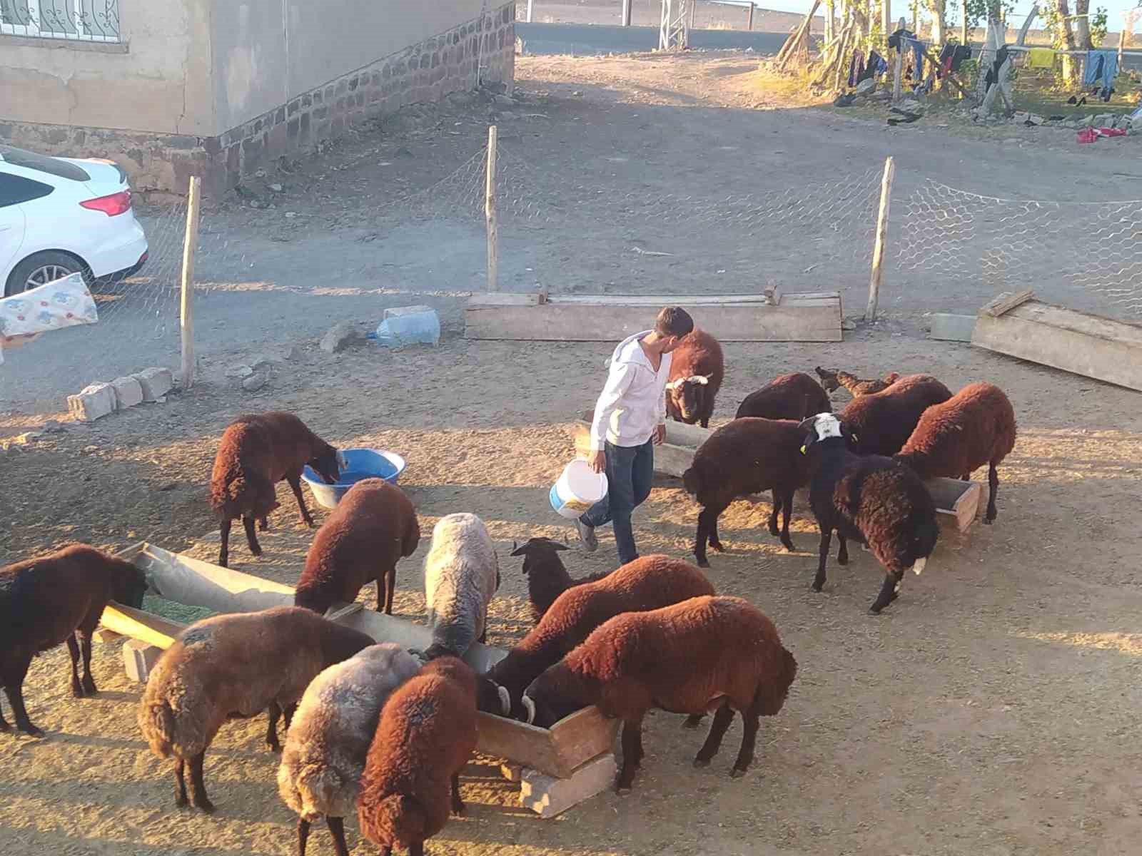 Patnos’ta besiciler kış hazırlığını sürdürüyor