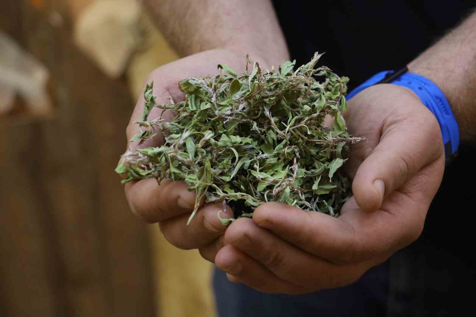 Kurusunun 100 gramı ile bir öğünlük yemek pişiyor