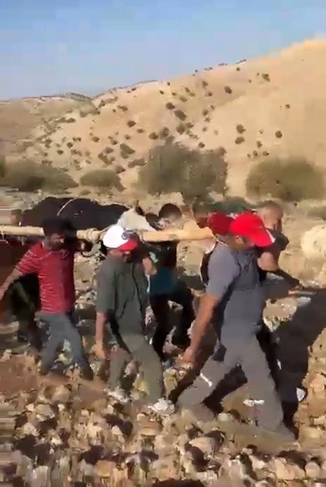 Ayağı kırılan ineği k&ouml;yl&uuml;ler kep&ccedil;eyle taşıdı
