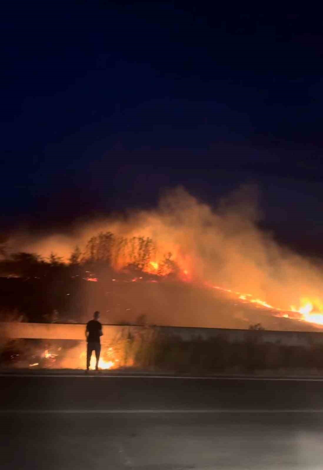 Keşan&rsquo;da &ccedil;ıkan yangın ormanlık alana sı&ccedil;ramadan s&ouml;nd&uuml;r&uuml;ld&uuml;
