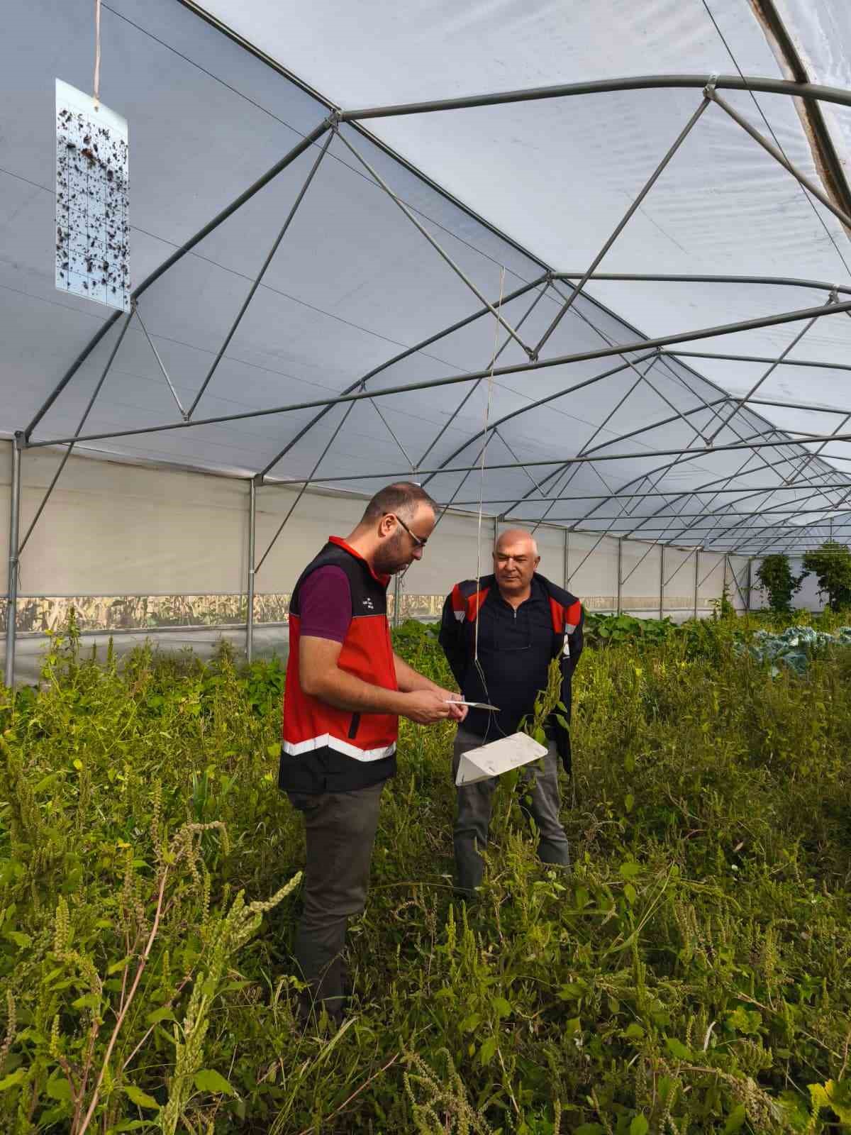 Beyşehir&rsquo;de bitkisel &uuml;retim takip altında
